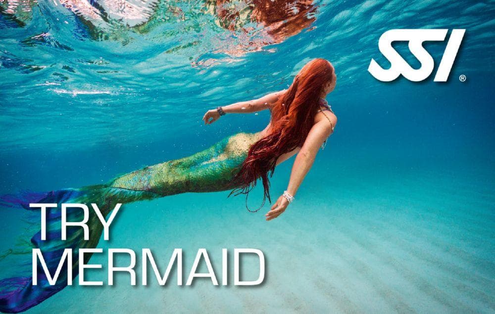 SSI Try Mermaid